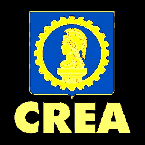 CREA, Exercício Profissional