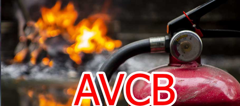 AVCB